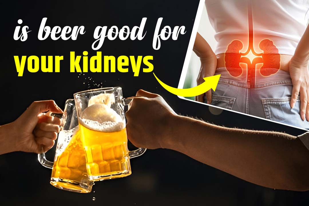  Is Beer Good for Your Kidneys